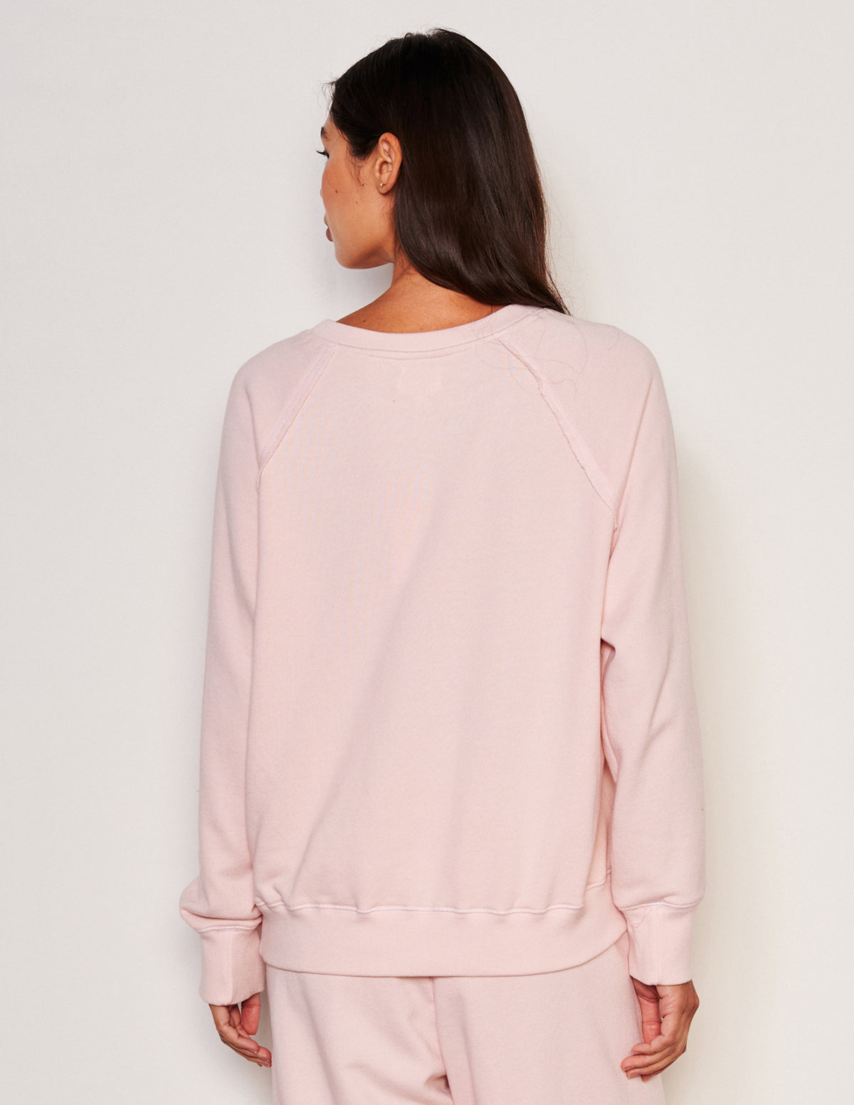 Sundry Raglan Sweatshirt -back view