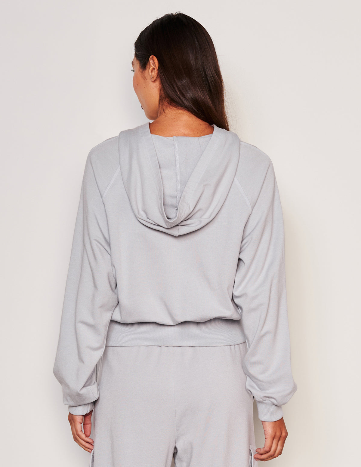Sundry Lounge Banded Hoodie -back view