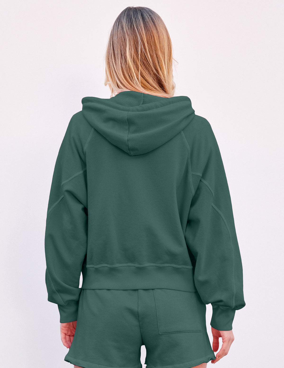 Sundry Horizon Zip Hoodie in Rainforest