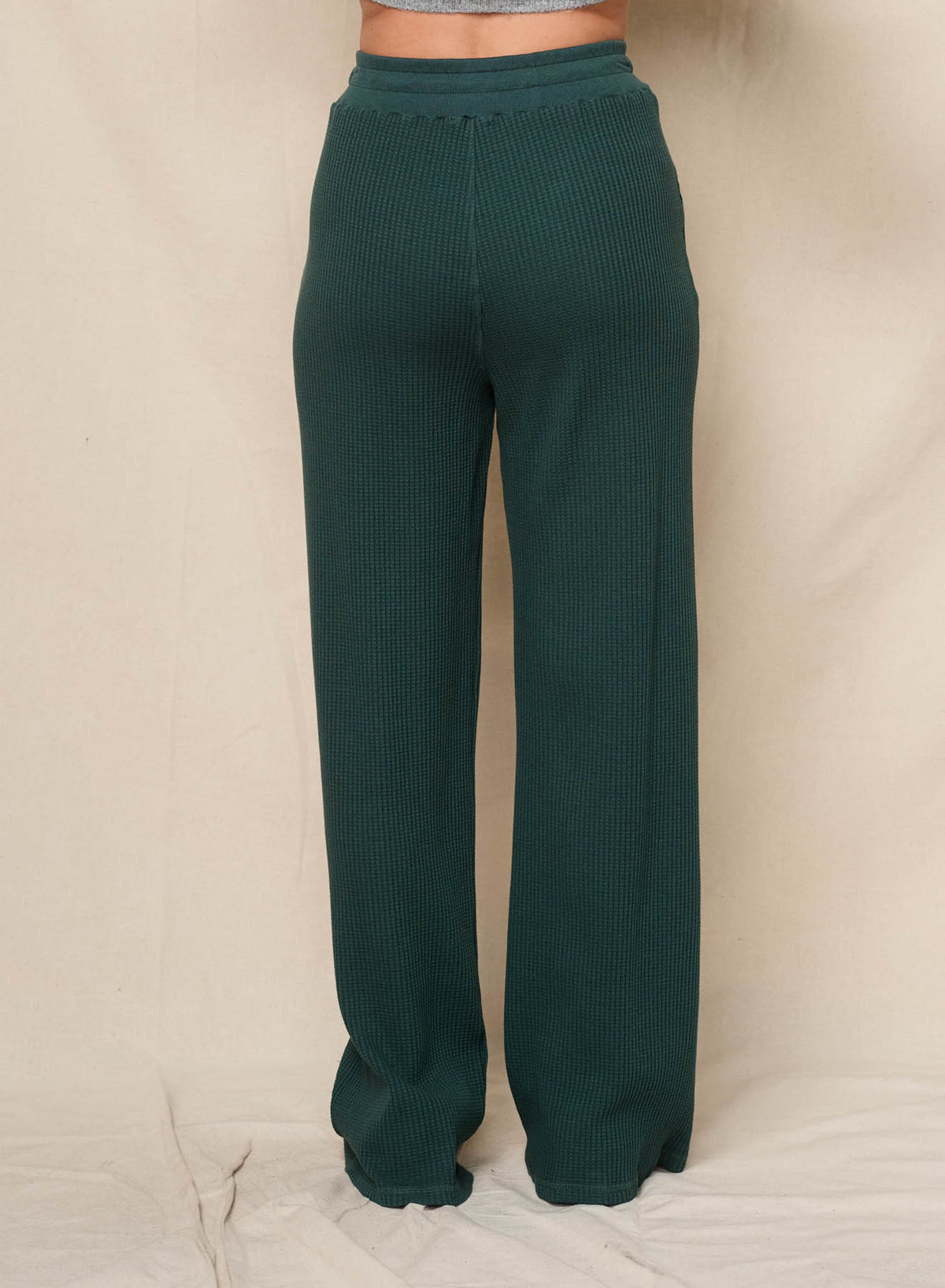 Sundry Flare Lounge Pant in Rainforest