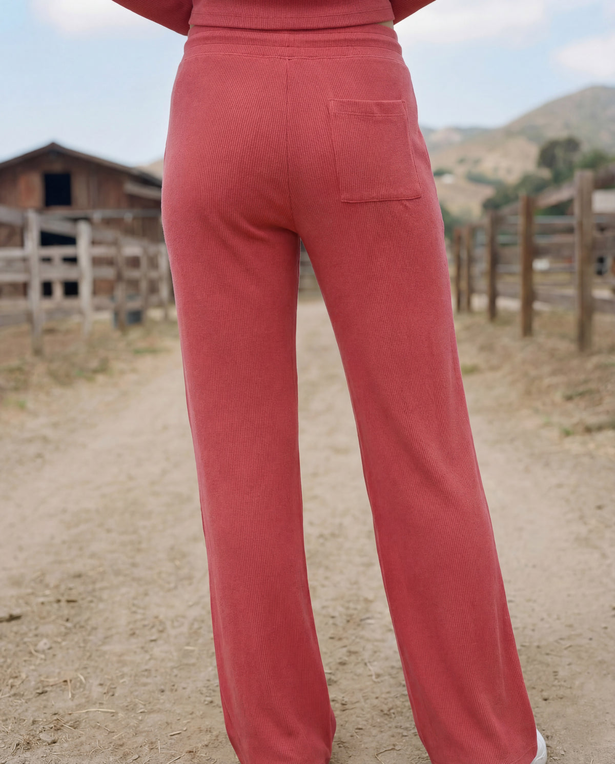 Sundry Lounge Straight Leg Pant in Berry