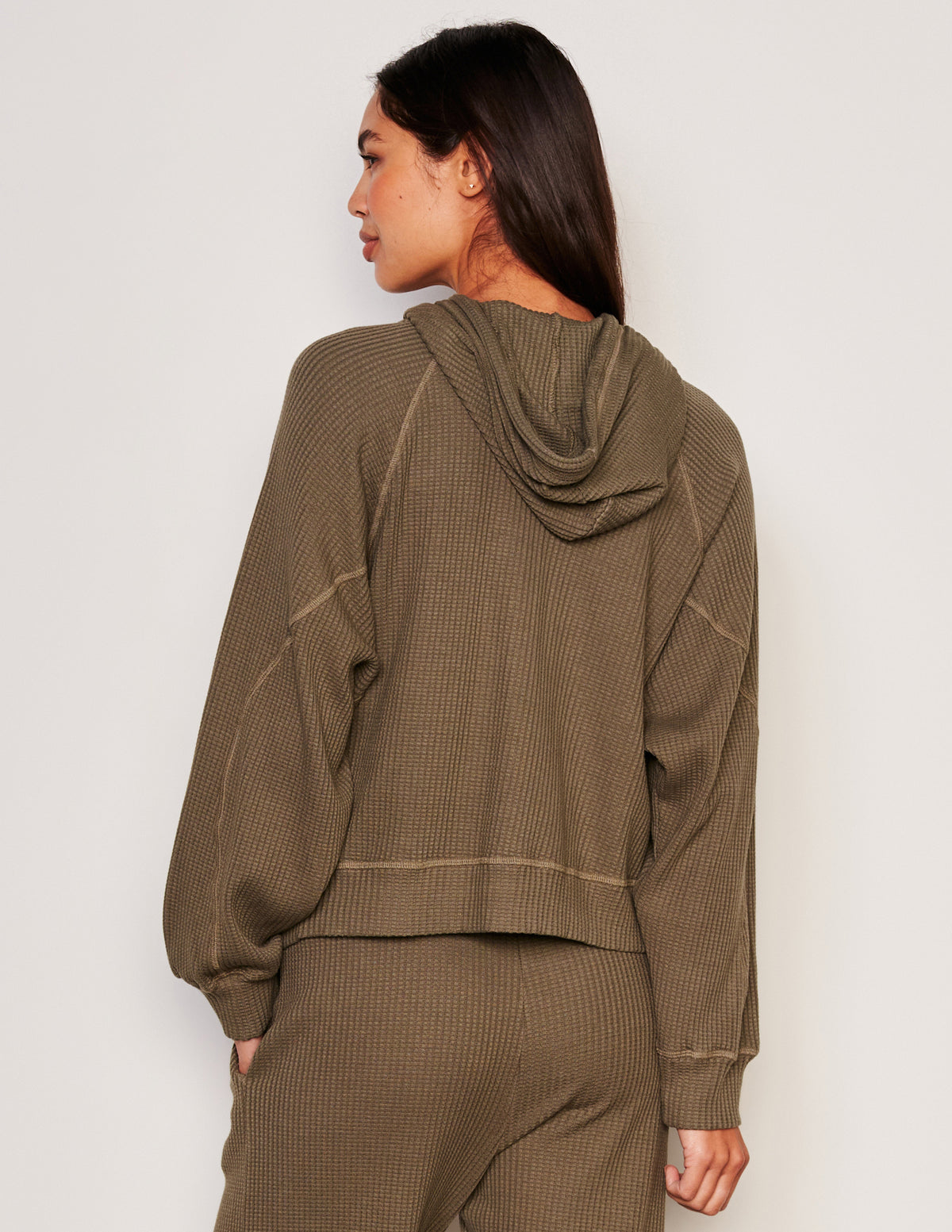 Sundry Seamed Zip Hoodie in Fern-back view