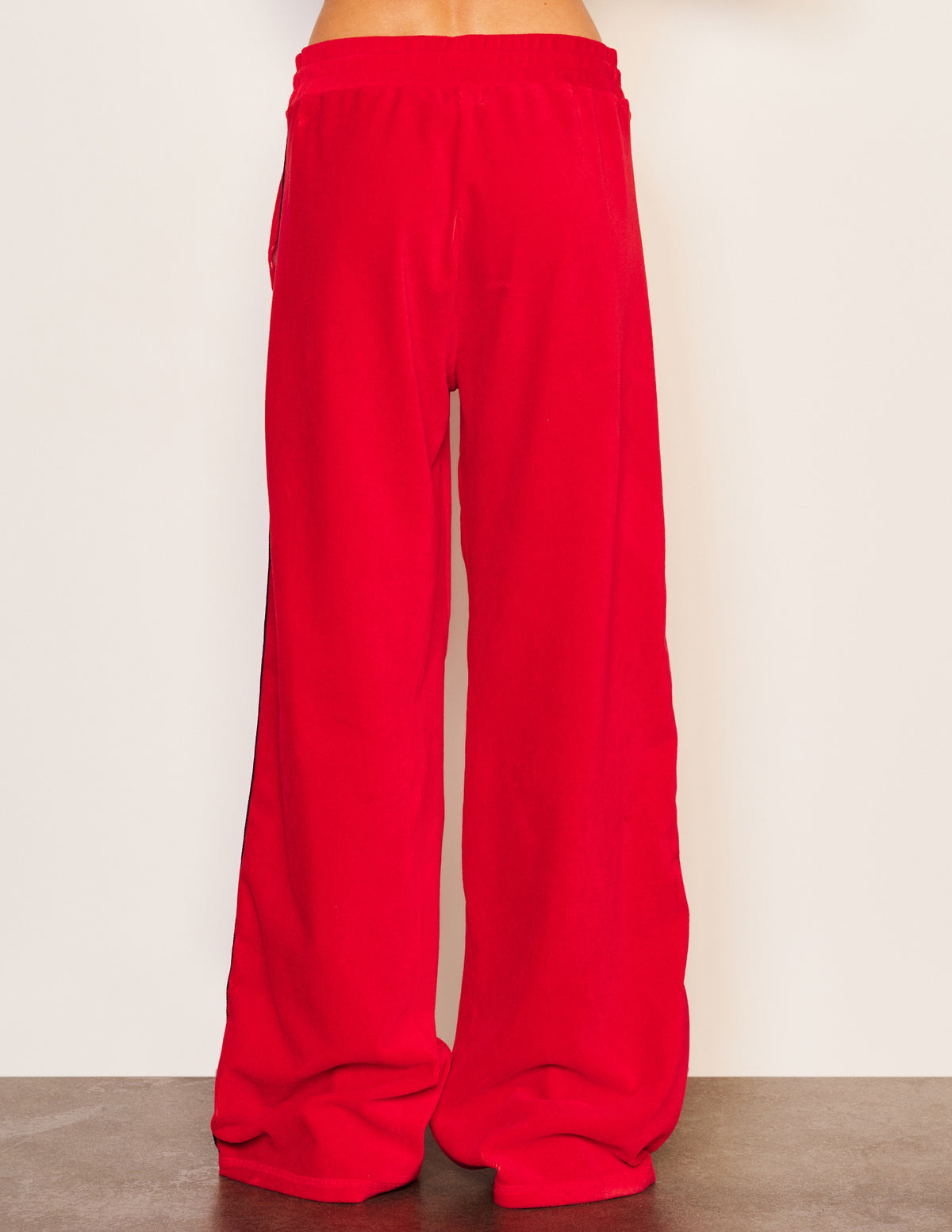 Sundry Relaxed Wide Leg Pant in Flare Red-back view