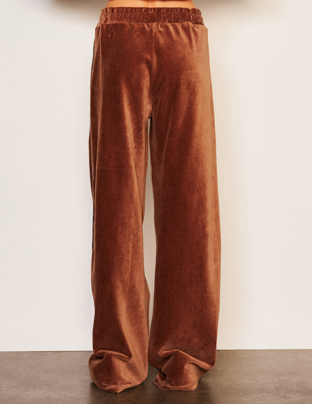 Sundry Relaxed Wide Leg Pant in Taupe-back view