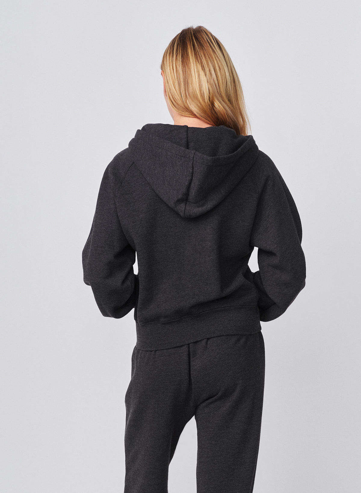 Sundry Cropped Hoodie in Washed Black