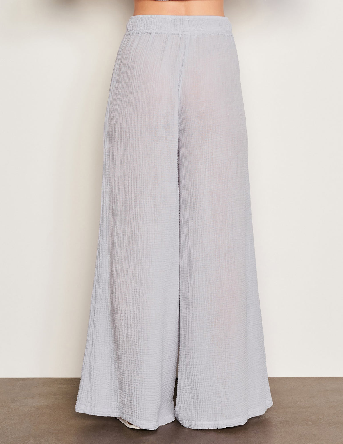 Sundry Wide Leg Pant in Blue Linen-back view