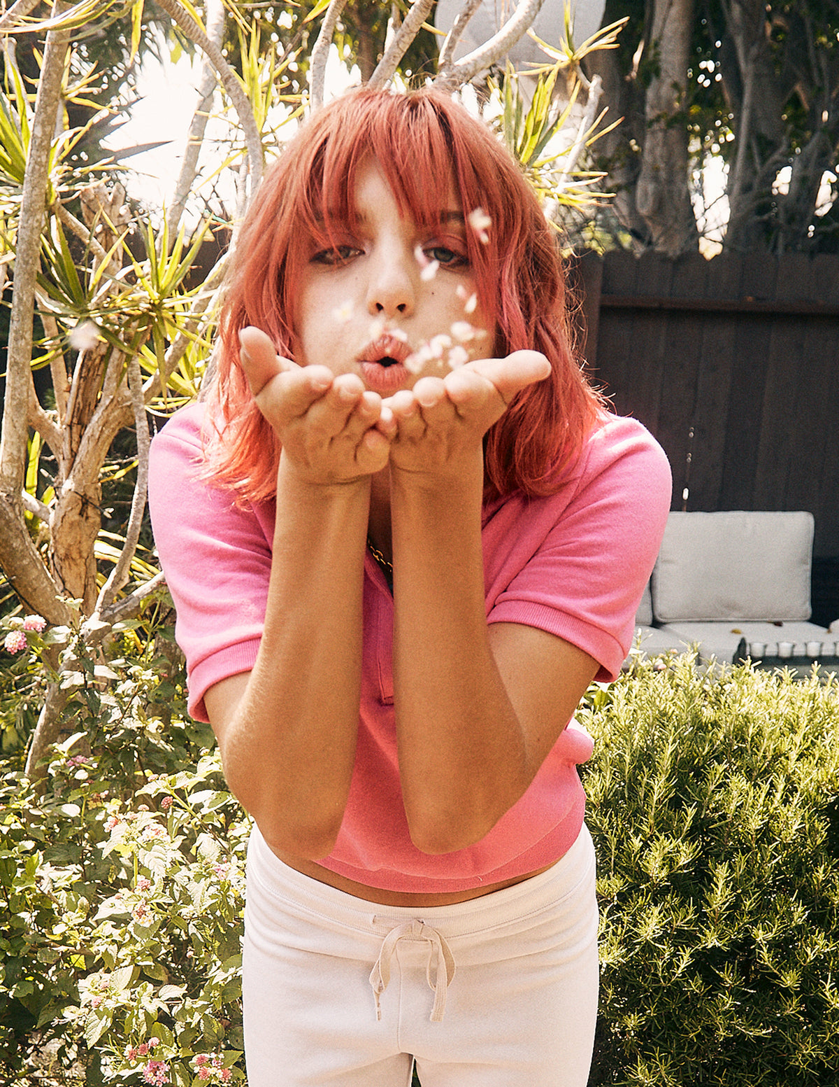 Sundry Short Sleeve Johnny Collar Sweatshirt in Magenta