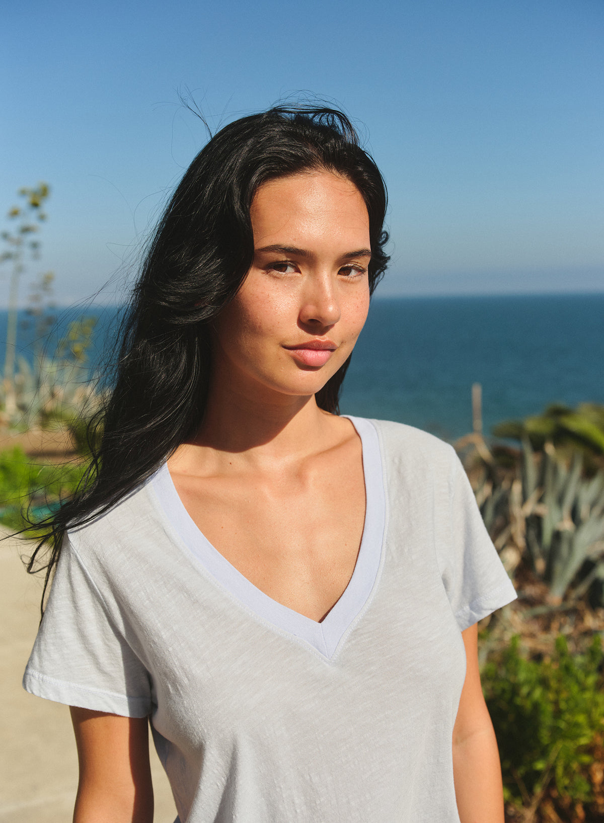 Sundry Deep V-Neck Tee in Sea Breeze