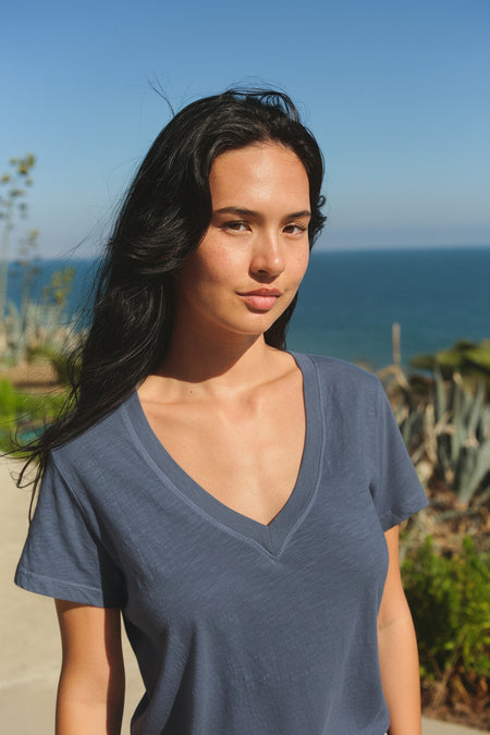 Sundry Deep V-Neck Tee in Vintage Navy