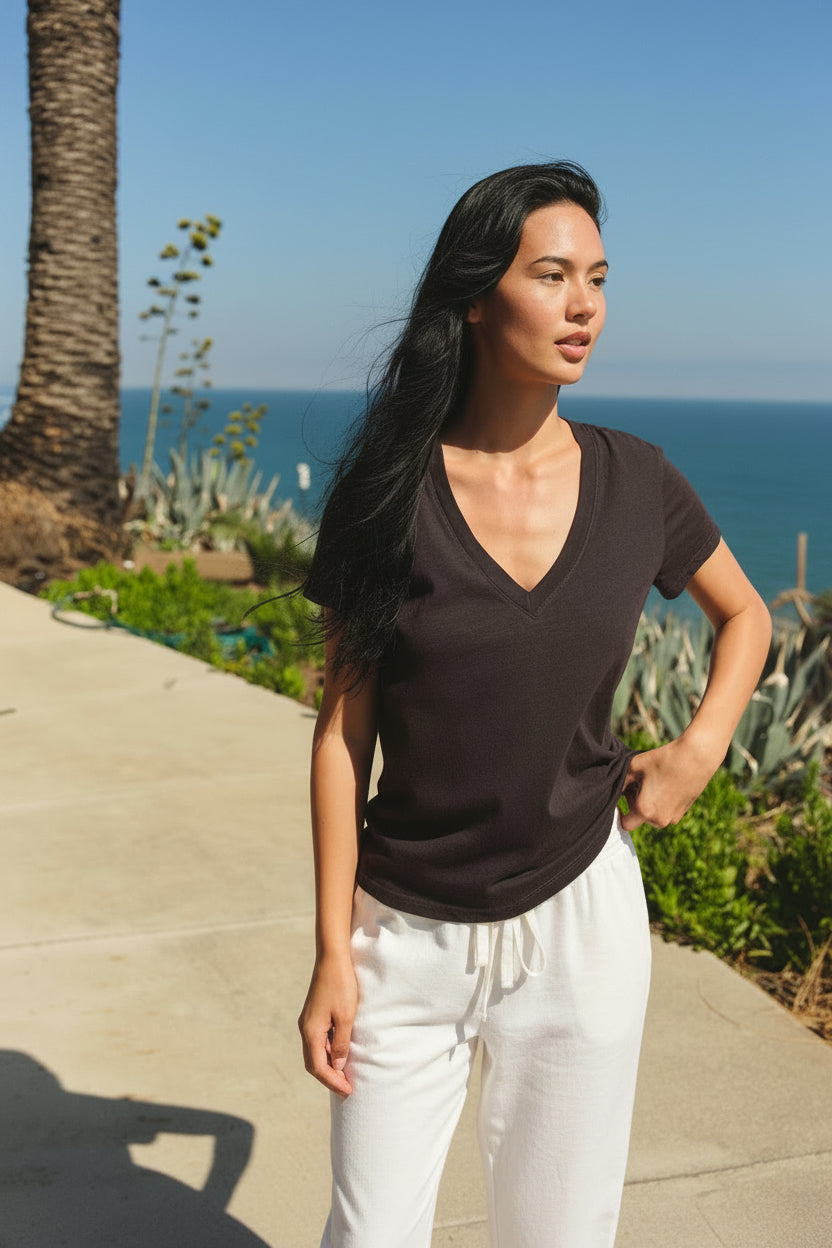 Sundry Deep V-Neck Tee in Washed Black
