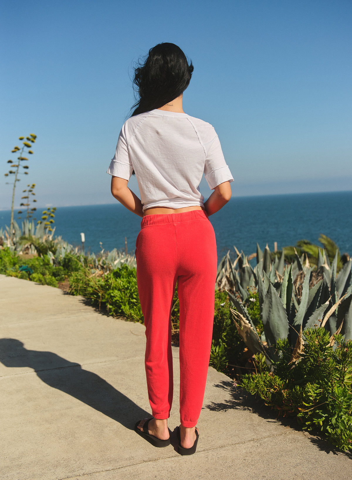 Sundry Athletic Pant in Vermillion