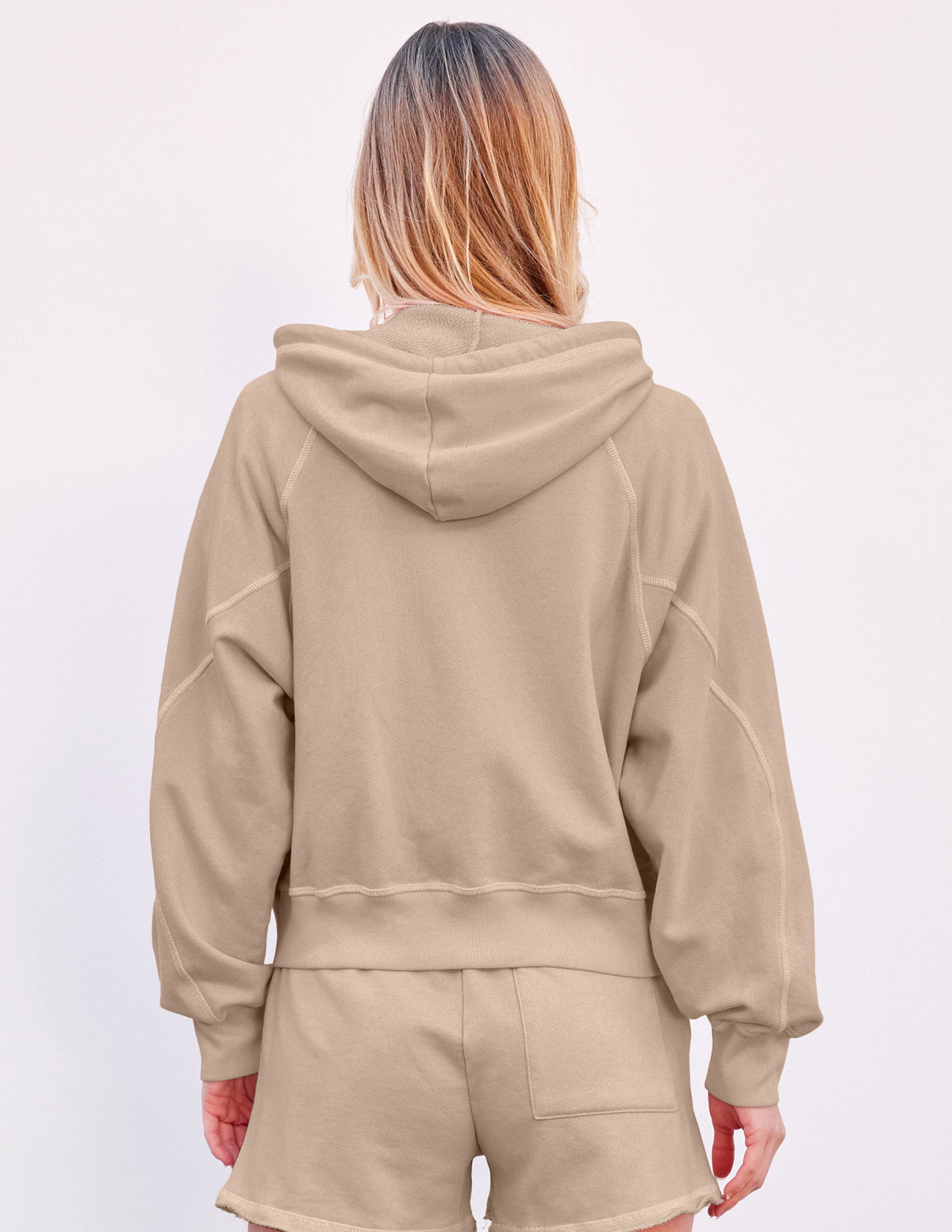 Sundry Horizon Zip Hoodie in Taupe